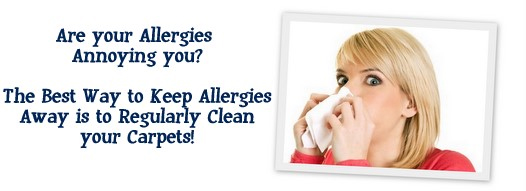 Carpet Cleaning Hempstead, NY