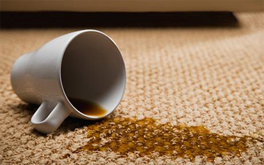Carpet Cleaning Hempstead,  NY