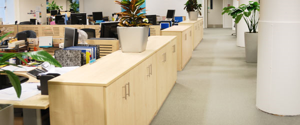 Commercial Carpet Cleaning Hempstead,  NY