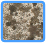 Hempstead,  NY Water Damage Restoration